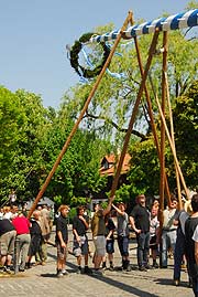 Händisch: der Maibaum 2007 von Oberhaching (Fotos folgen) (Foto. Ingrid Grossmann)